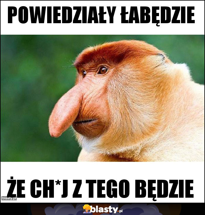 Powiedziały łabędzie