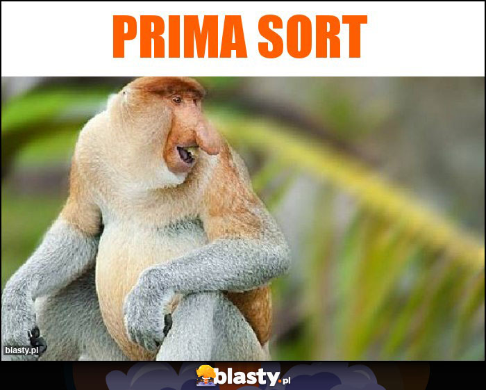 PRIMA SORT