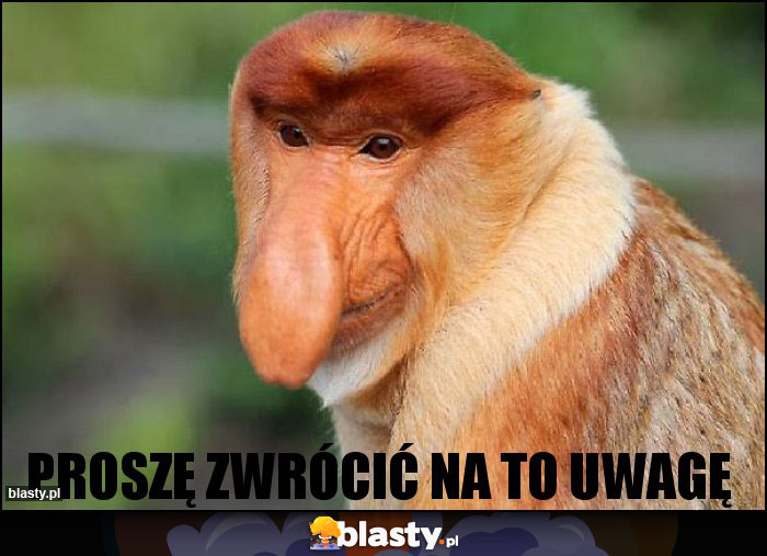 Proszę zwrócić na to uwagę