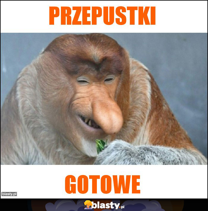 Przepustki