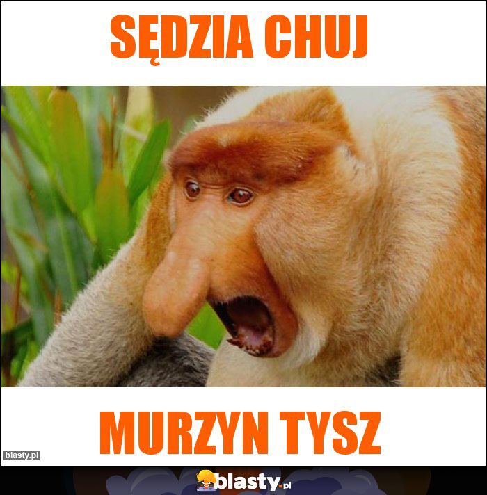 Sędzia chuj