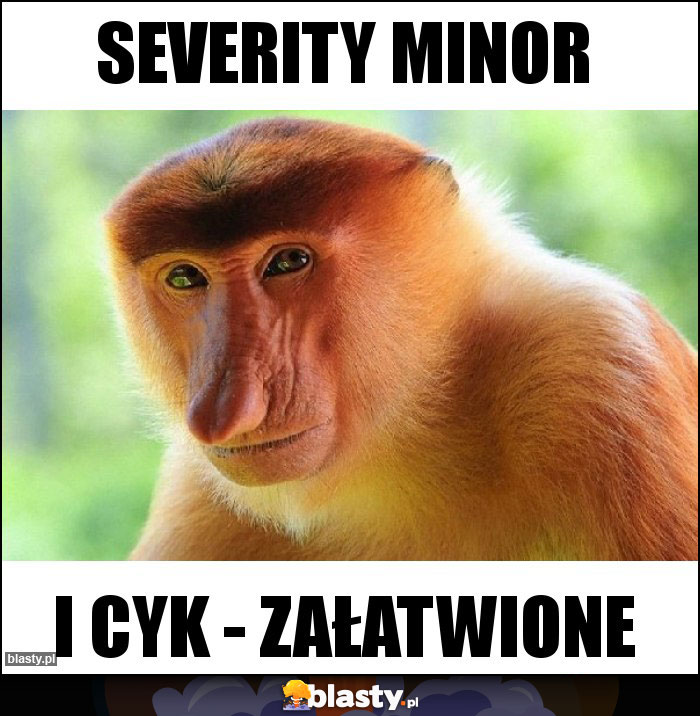 severity minor