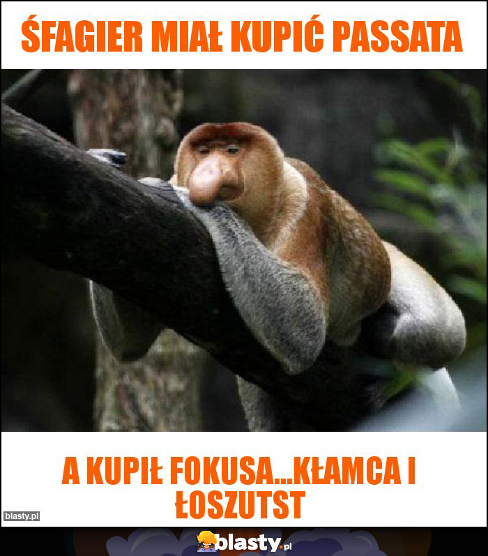 Śfagier miał kupić passata