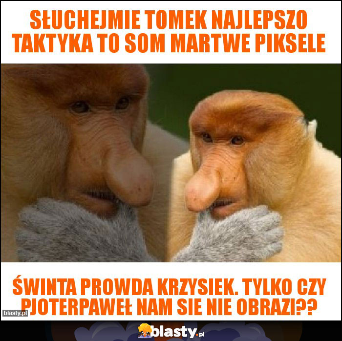 Słuchejmie Tomek najlepszo taktyka to som martwe piksele