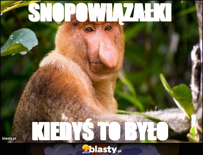 Snopowiązałki