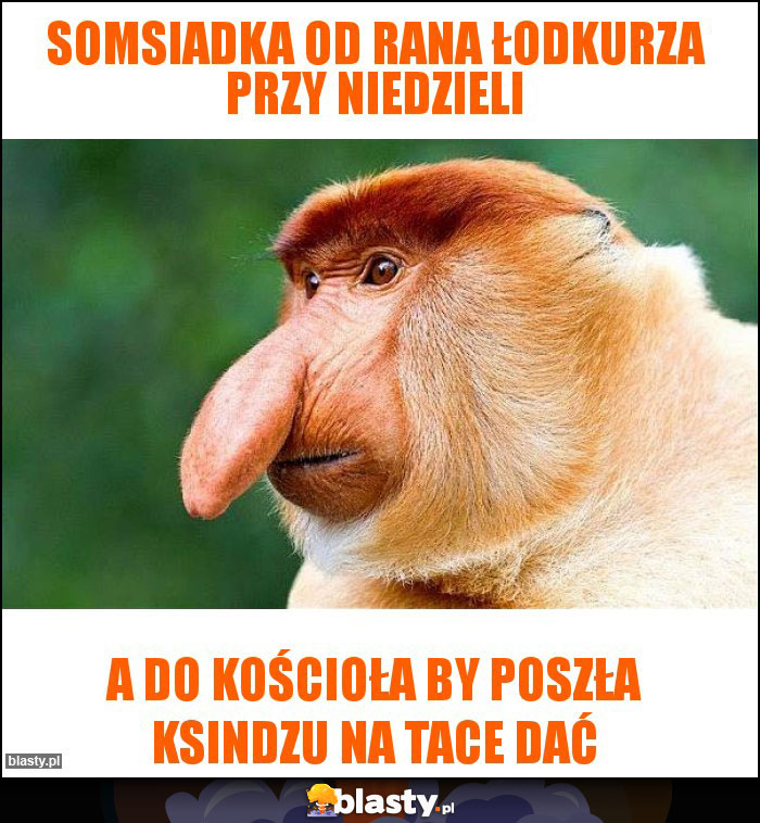 Somsiadka od rana łodkurza przy niedzieli