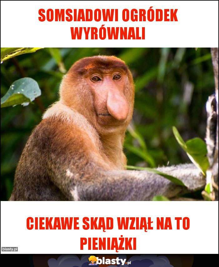 Somsiadowi ogródek wyrównali