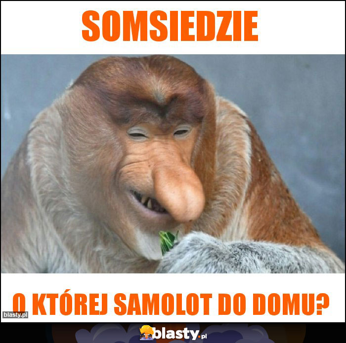 SOMSIEDZIE