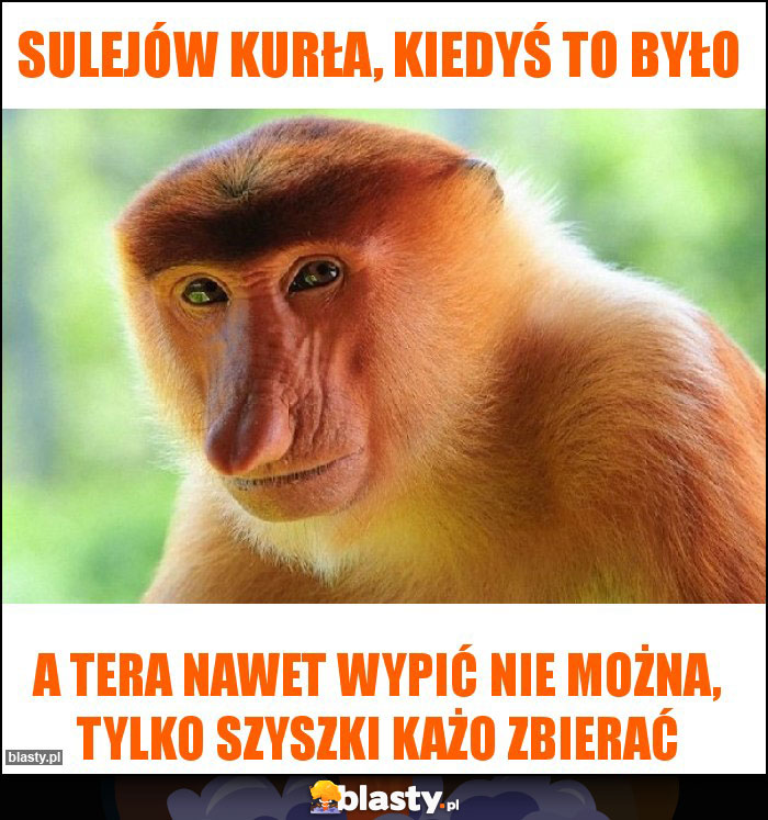 Sulejów kurła, kiedyś to było