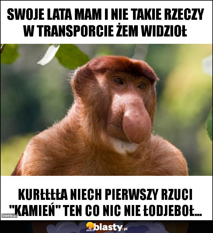 Swoje lata mam i nie takie rzeczy w transporcie żem widzioł