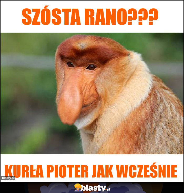 Szósta rano???