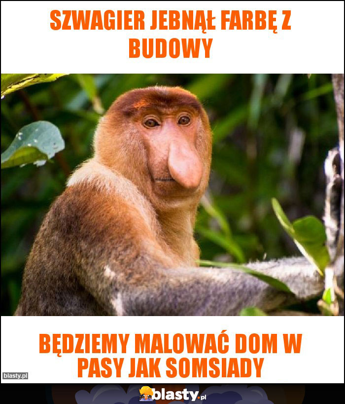 Szwagier jebnął farbę z budowy