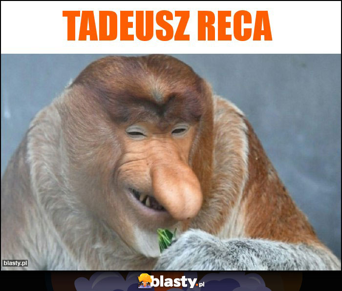 Tadeusz Reca