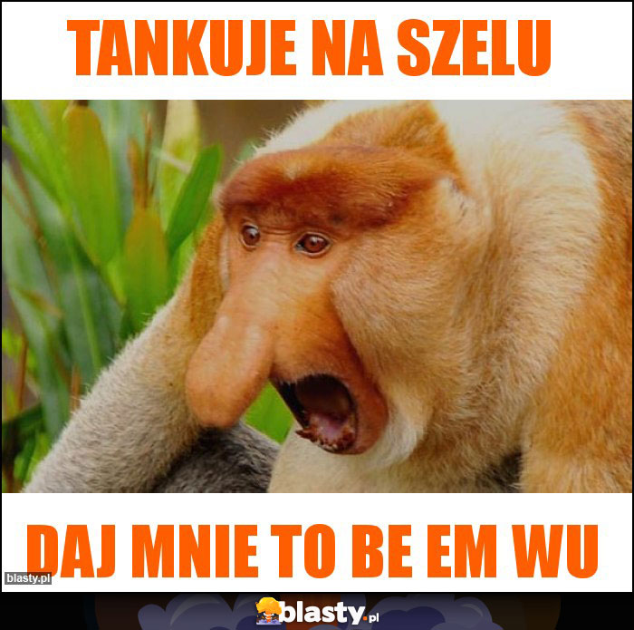 Tankuje na szelu