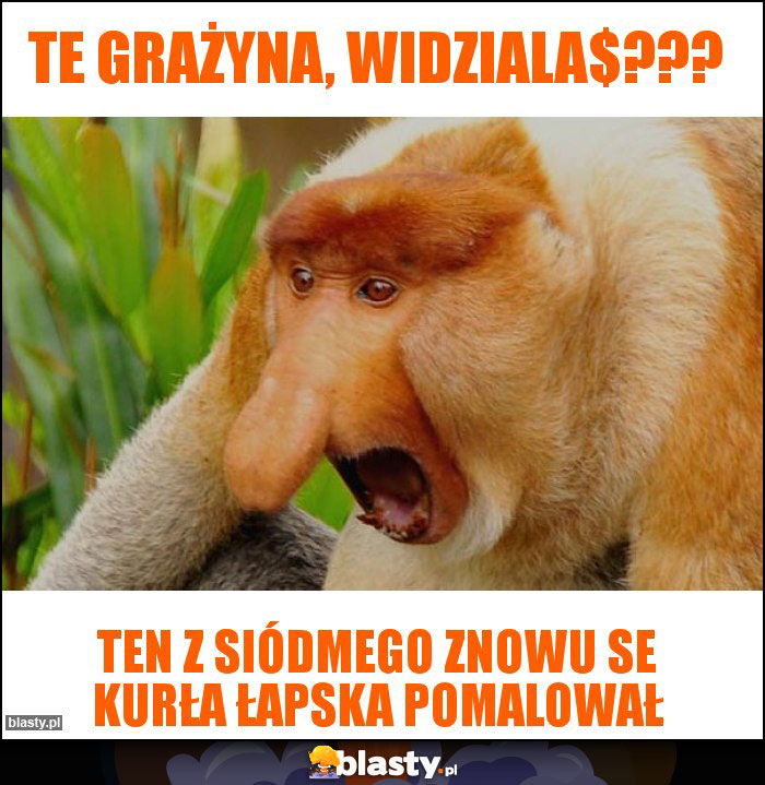 Te Grażyna, widziala$???