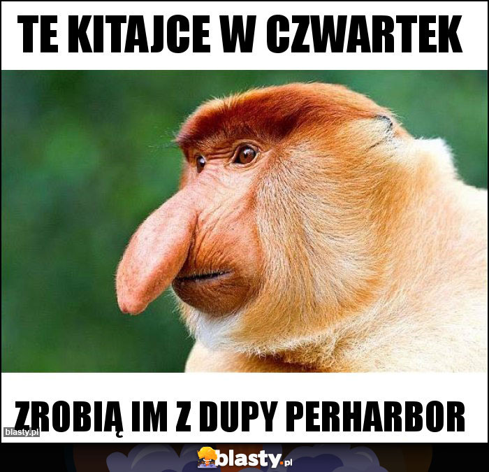 te kitajce w czwartek