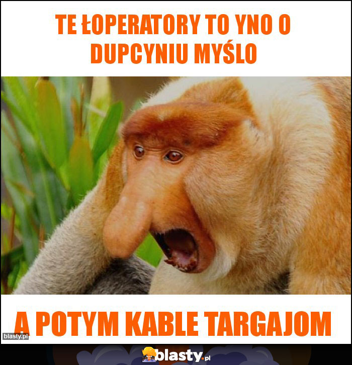 Te łoperatory to yno o dupcyniu myślo