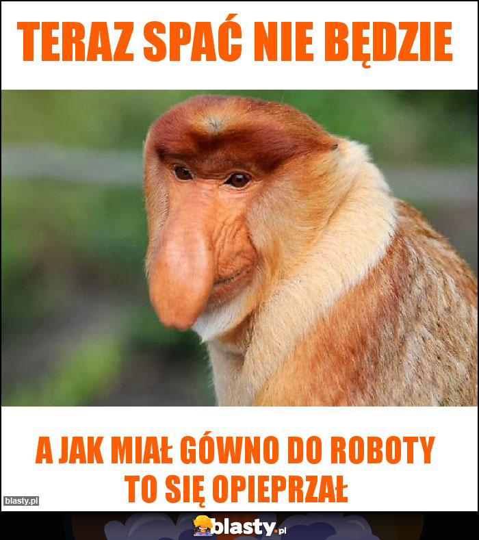 Teraz spać nie będzie