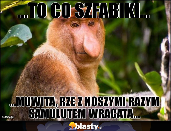 ...to co szfabiki...