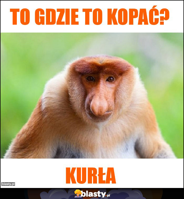 To gdzie to kopać?