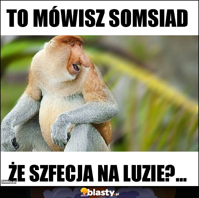 To mówisz somsiad