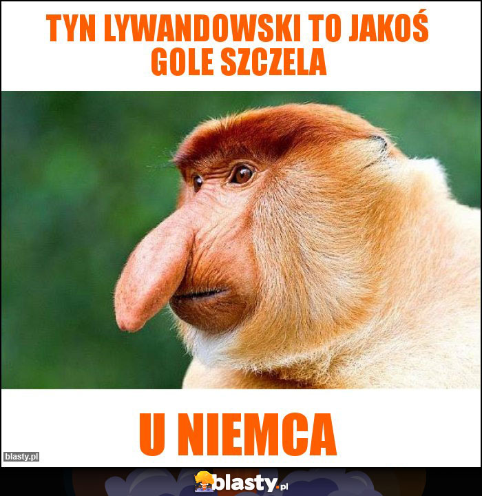 Tyn Lywandowski to jakoś gole szczela