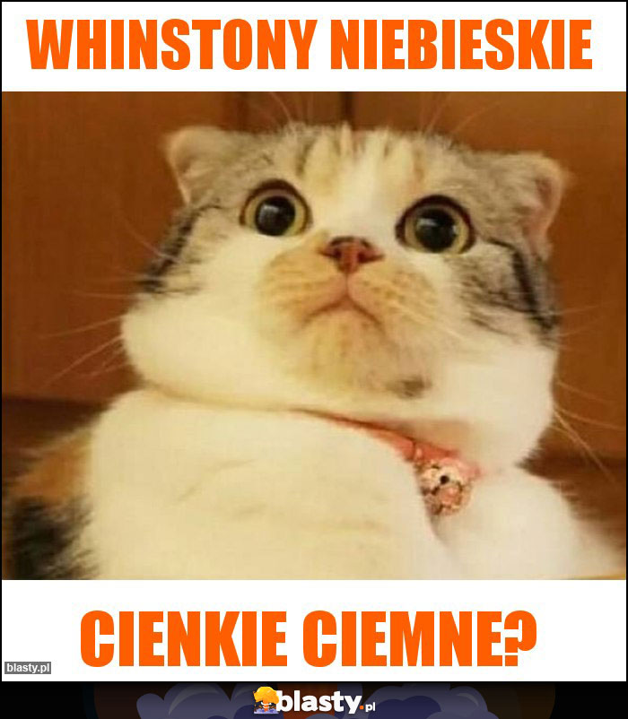 Whinstony niebieskie