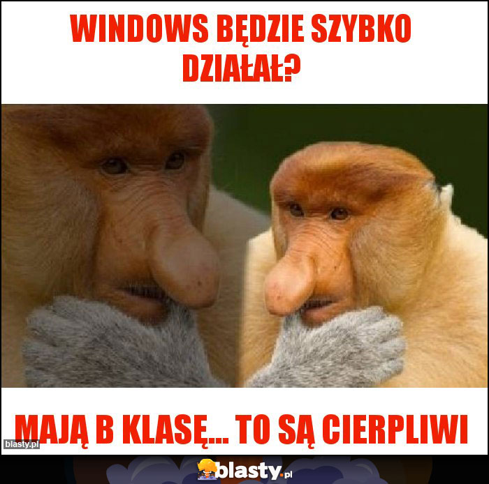 Windows będzie szybko działał?