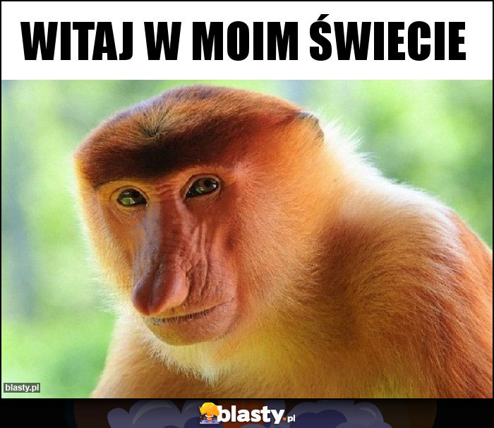 WITAJ W MOIM ŚWIECIE