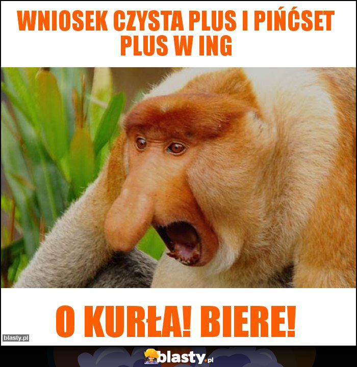 Wniosek czysta plus i pińćset plus w ING