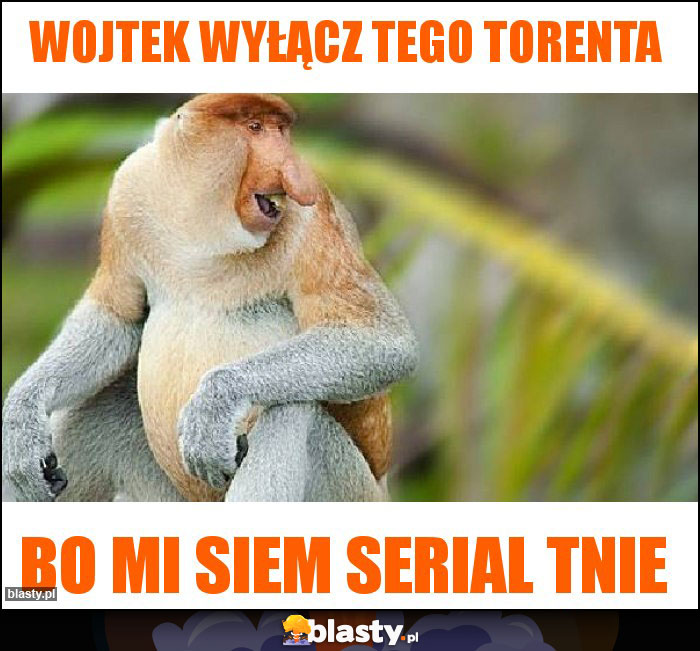 WOJTEK WYŁĄCZ TEGO TORENTA