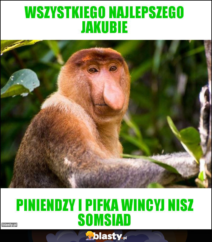 Wszystkiego najlepszego jakubie