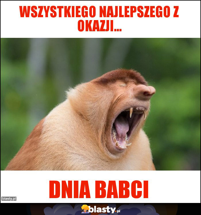 Wszystkiego najlepszego z okazji...