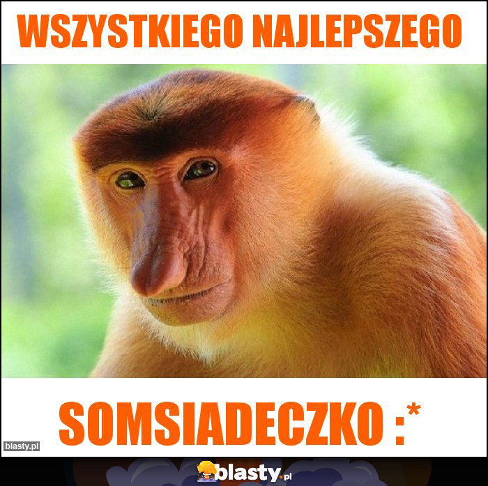 WSZYSTKIEGO NAJLEPSZEGO