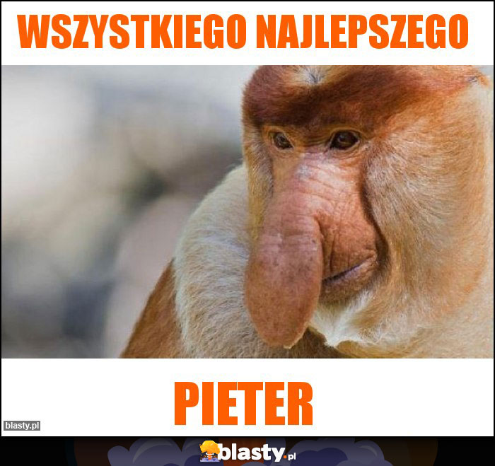 Wszystkiego najlepszego