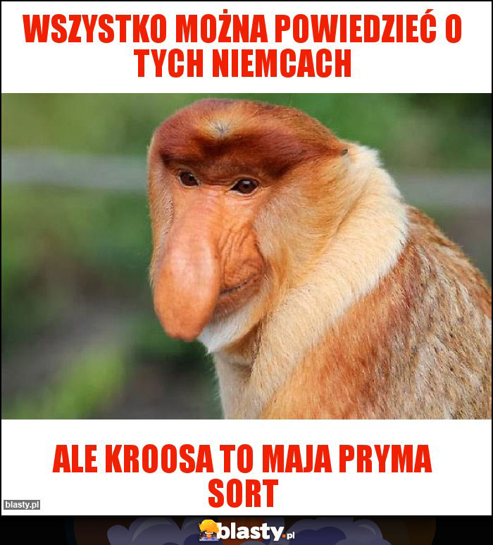 Wszystko można powiedzieć o tych niemcach