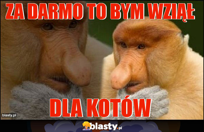 ZA DARMO TO BYM WZIĄŁ