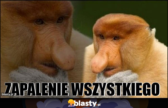 ZAPALENIE WSZYSTKIEGO