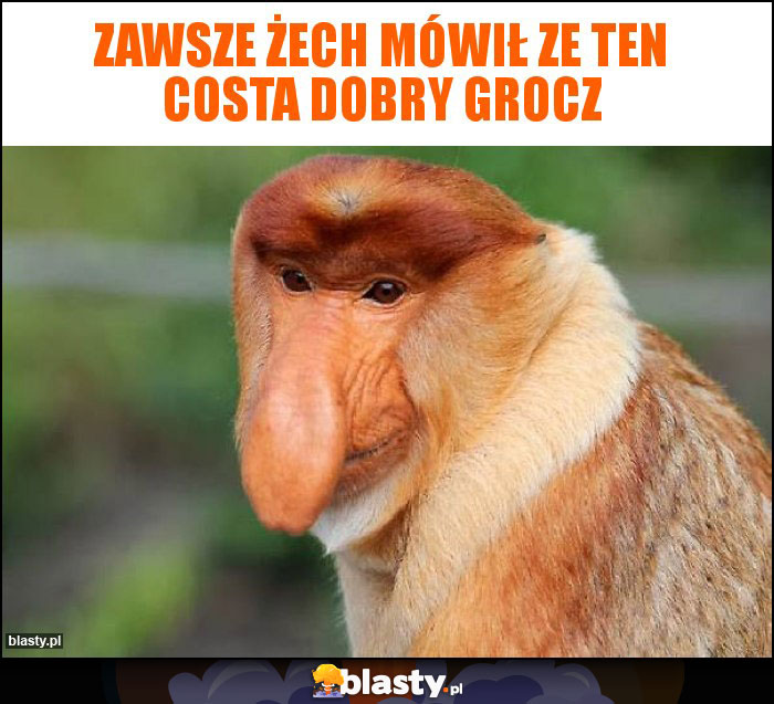 Zawsze żech mówił ze ten Costa dobry grocz