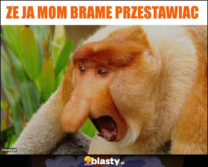 ze ja mom brame przestawiac