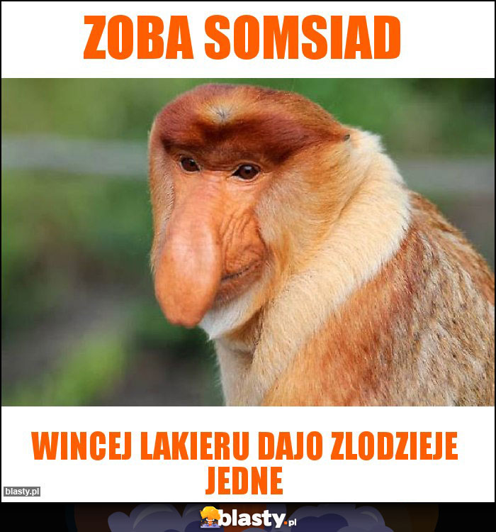 Zoba somsiad