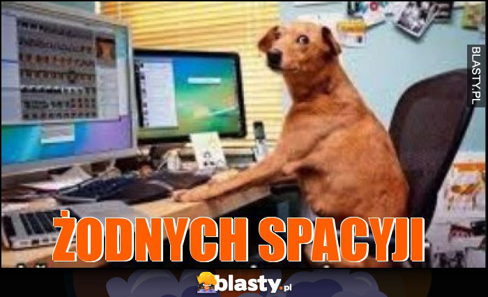 ŻODNYCH SPACYJI