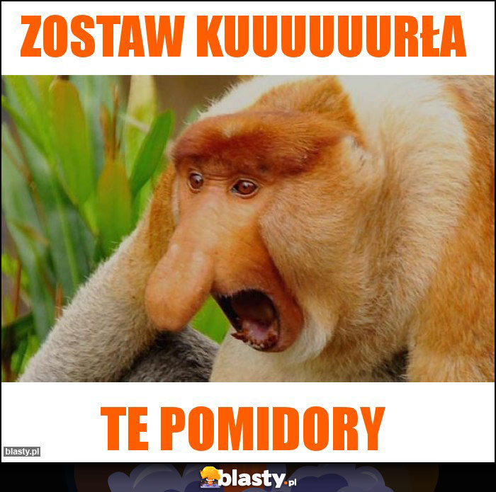 ZOSTAW KUUUUUURŁA