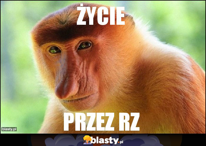 Życie