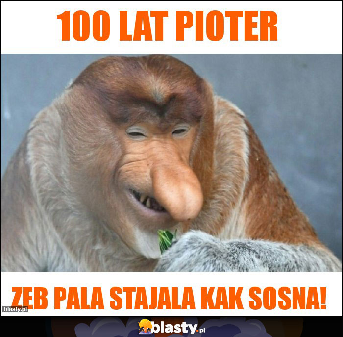 100 lat pioter