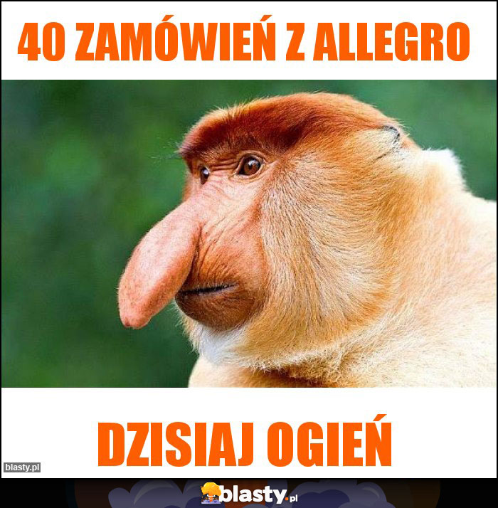 40 zamówień z allegro