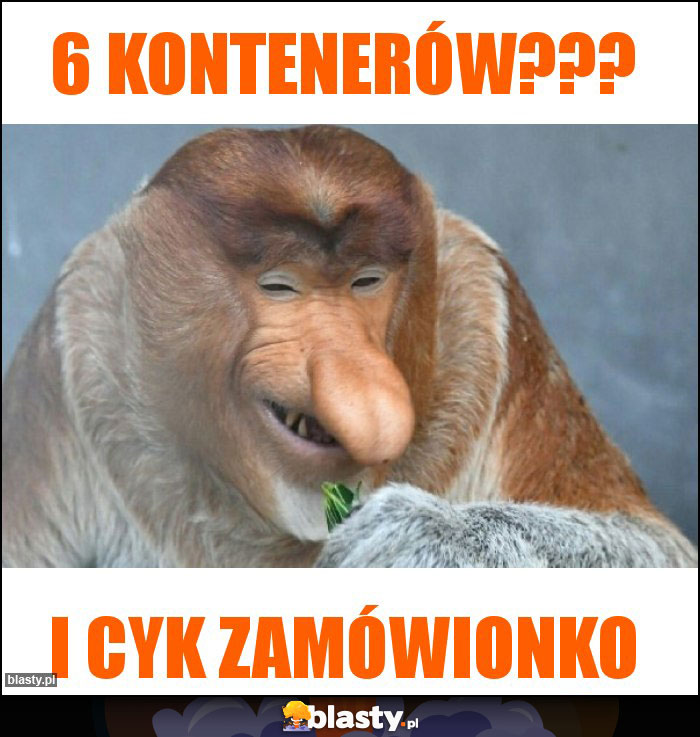 6 kontenerów???