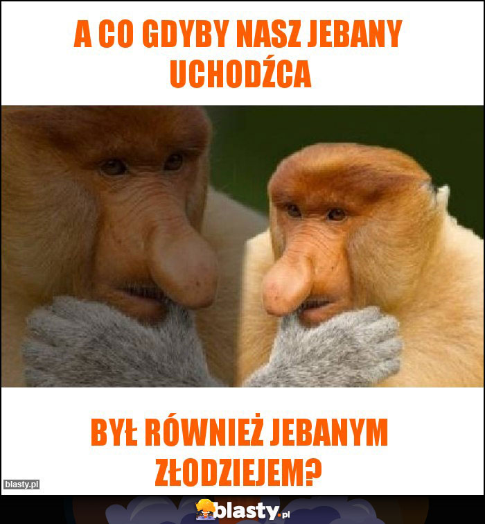 A co gdyby nasz jebany uchodźca