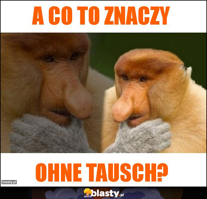 A co to znaczy