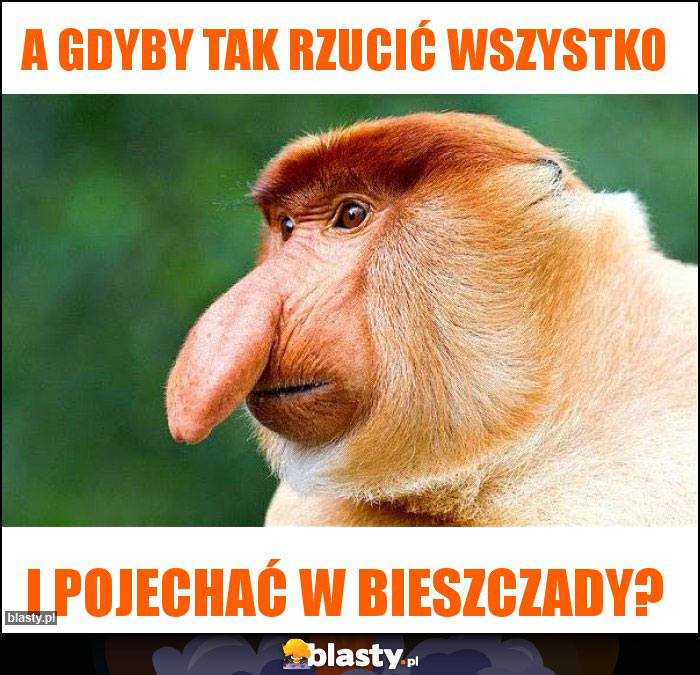 A gdyby tak rzucić wszystko